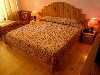 Hotel Naggar Delight, Manali 3